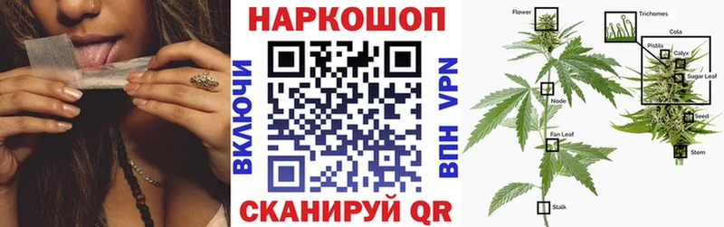 Цена Североуральск A-PVP MDMA Марихуана ГАШИШ