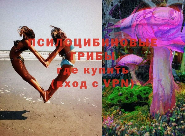 гашик Нязепетровск