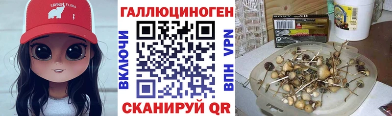 Псилоцибиновые грибы Psilocybine cubensis  наркошоп  Североуральск 